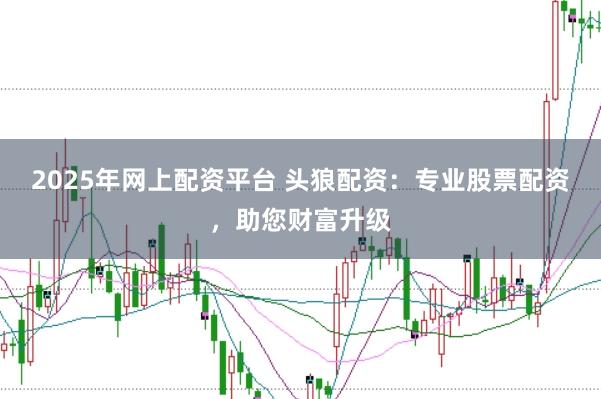 2025年网上配资平台 头狼配资:专业股票配资,助您财富升级